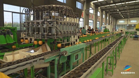 Primul forum al serviciului de origine pentru standardizarea fructelor